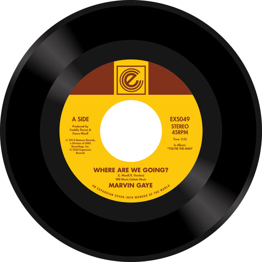 Pre Order - Marvin Gaye - Where Are We Going / Woman of the World - 7" Last 5